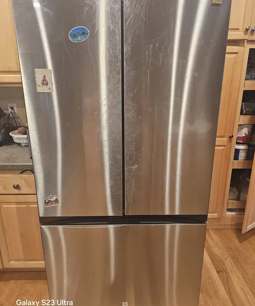 Refrigerator Cleaning in Bellevue 